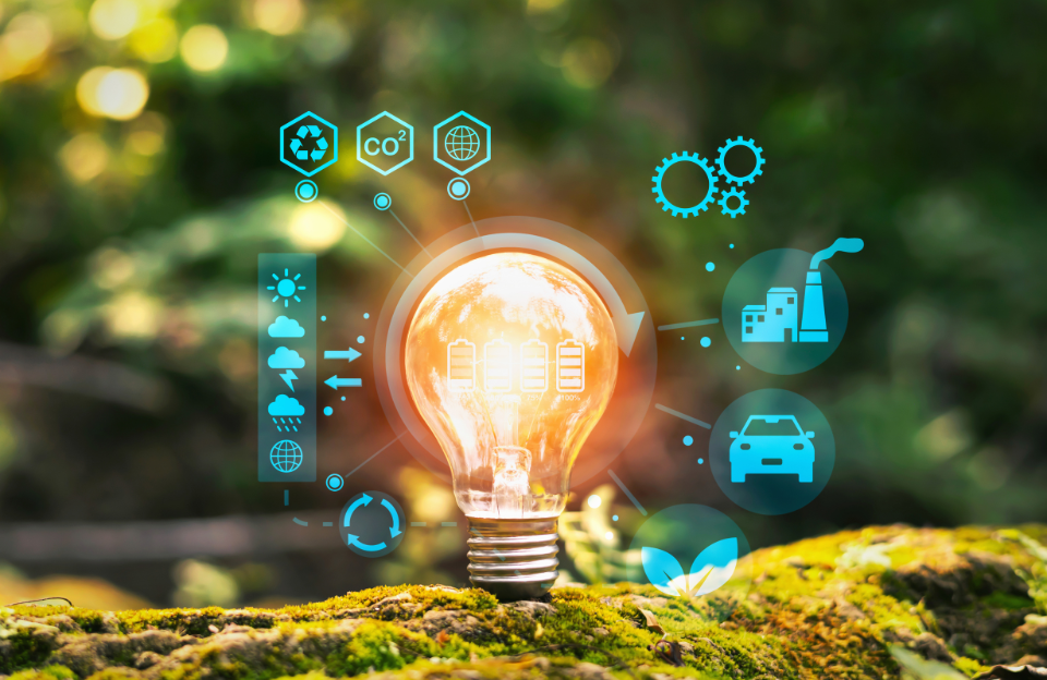 millionaire innovators