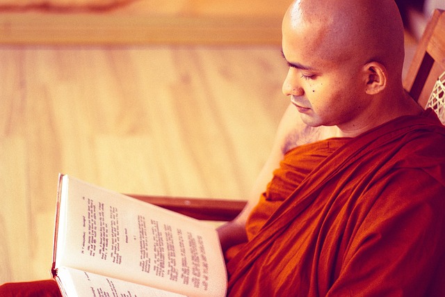 Monk Mode Process” (Purpose → Audit → Meditate → Routine → Accountability → Reflection)